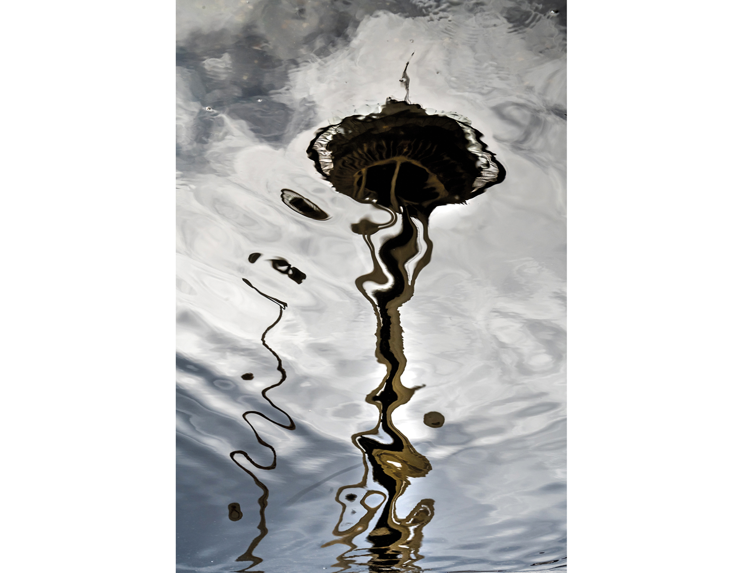 Photograph of the Seattle Space Needle reflected in a puddle by Robin Layton