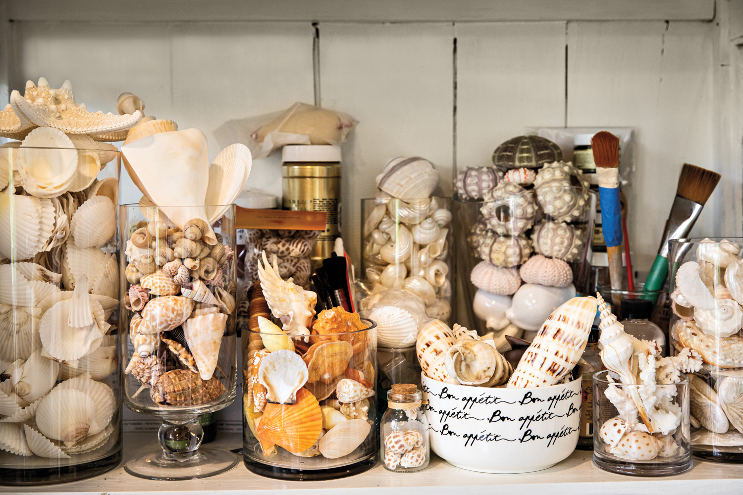 canisters of shells in kim delaney's studio
