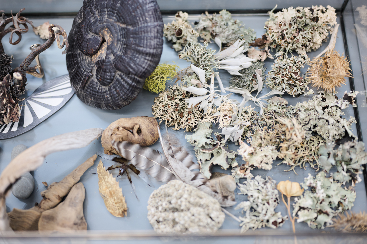 Natural materials in the artist's studio