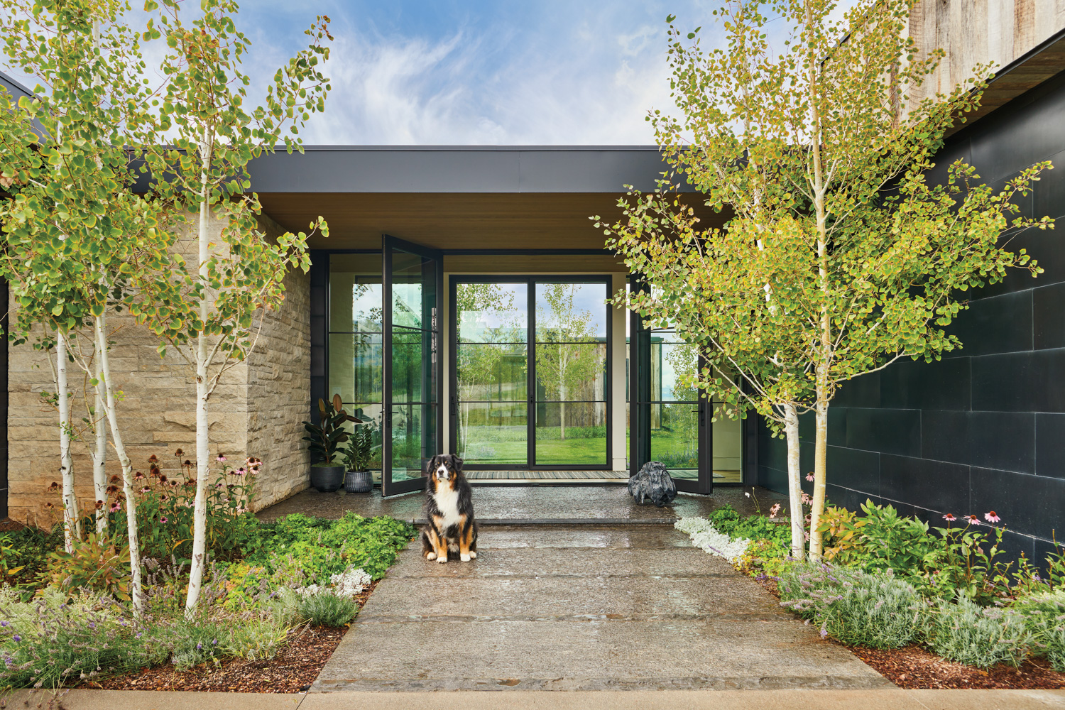 contemporary glass walled entry with...