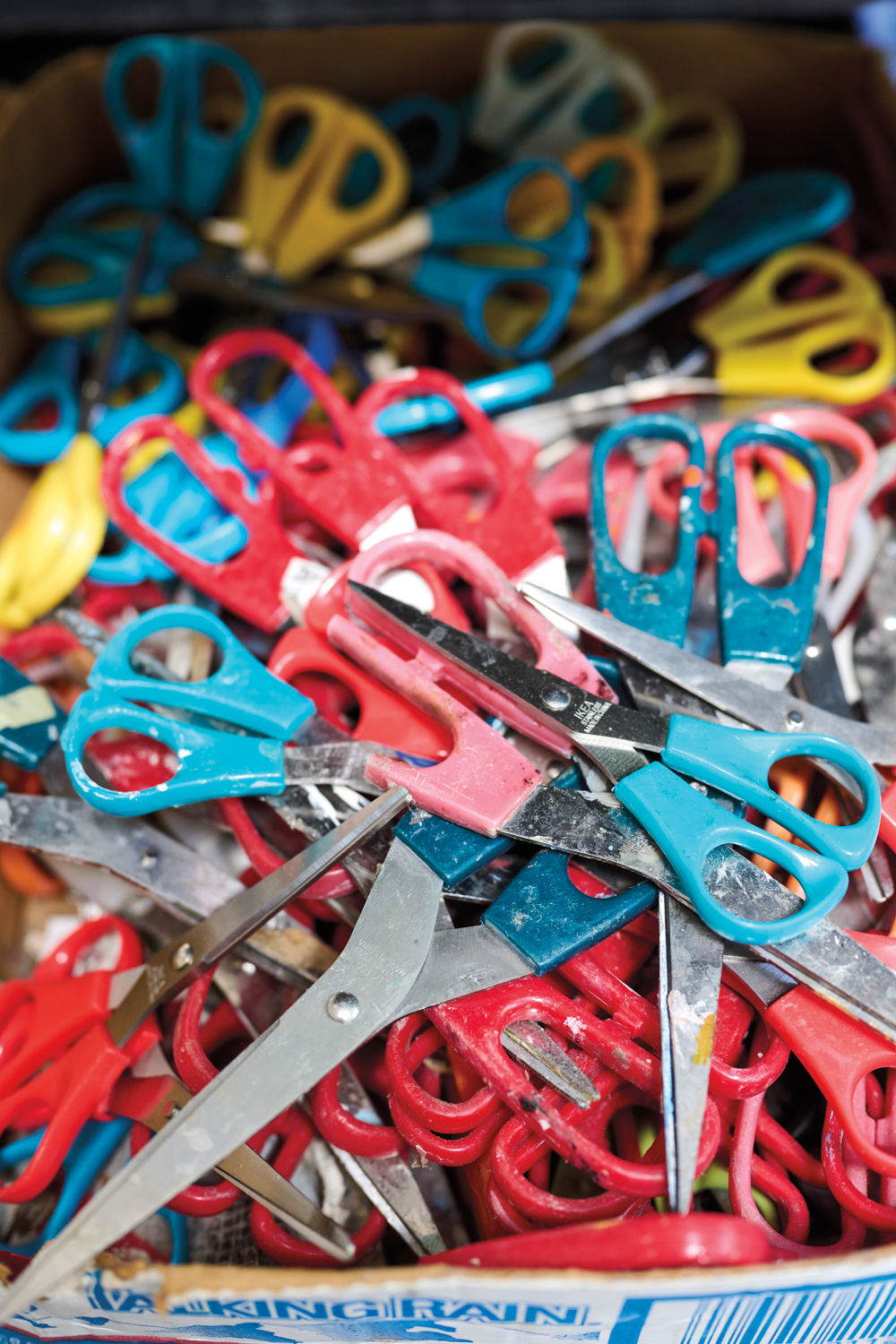 A bin of colorful scissors belonging to Eva Isaksen