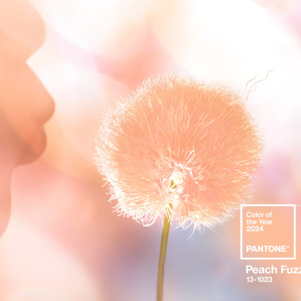 Embrace The Warmth Of Pantone’s Color Of The Year 2024
