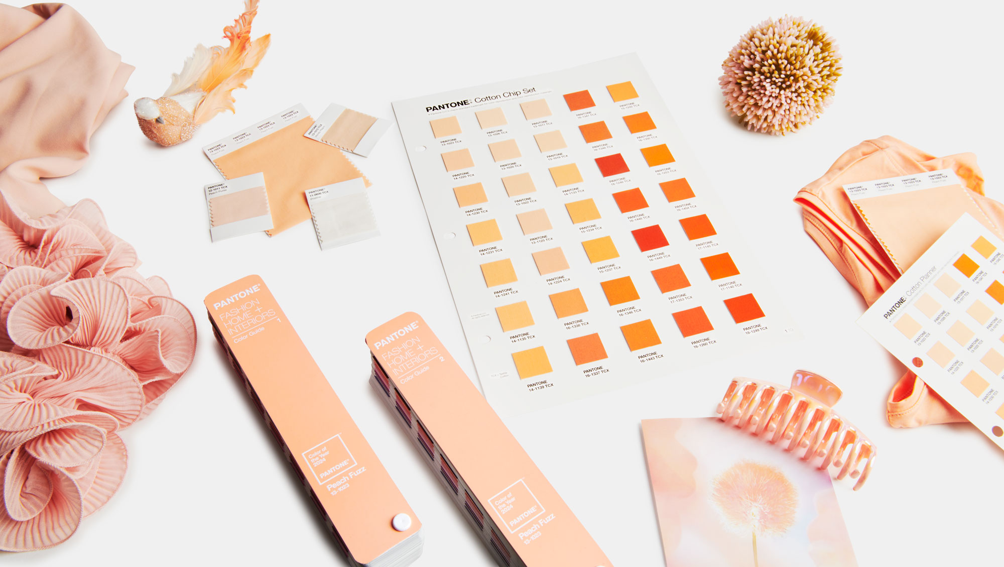 Pantone Color Of The Year 2024: Peach Fuzz