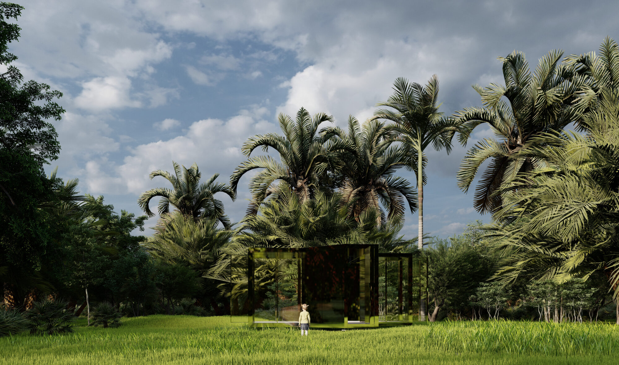 glass structure surrounded by palm trees and nature