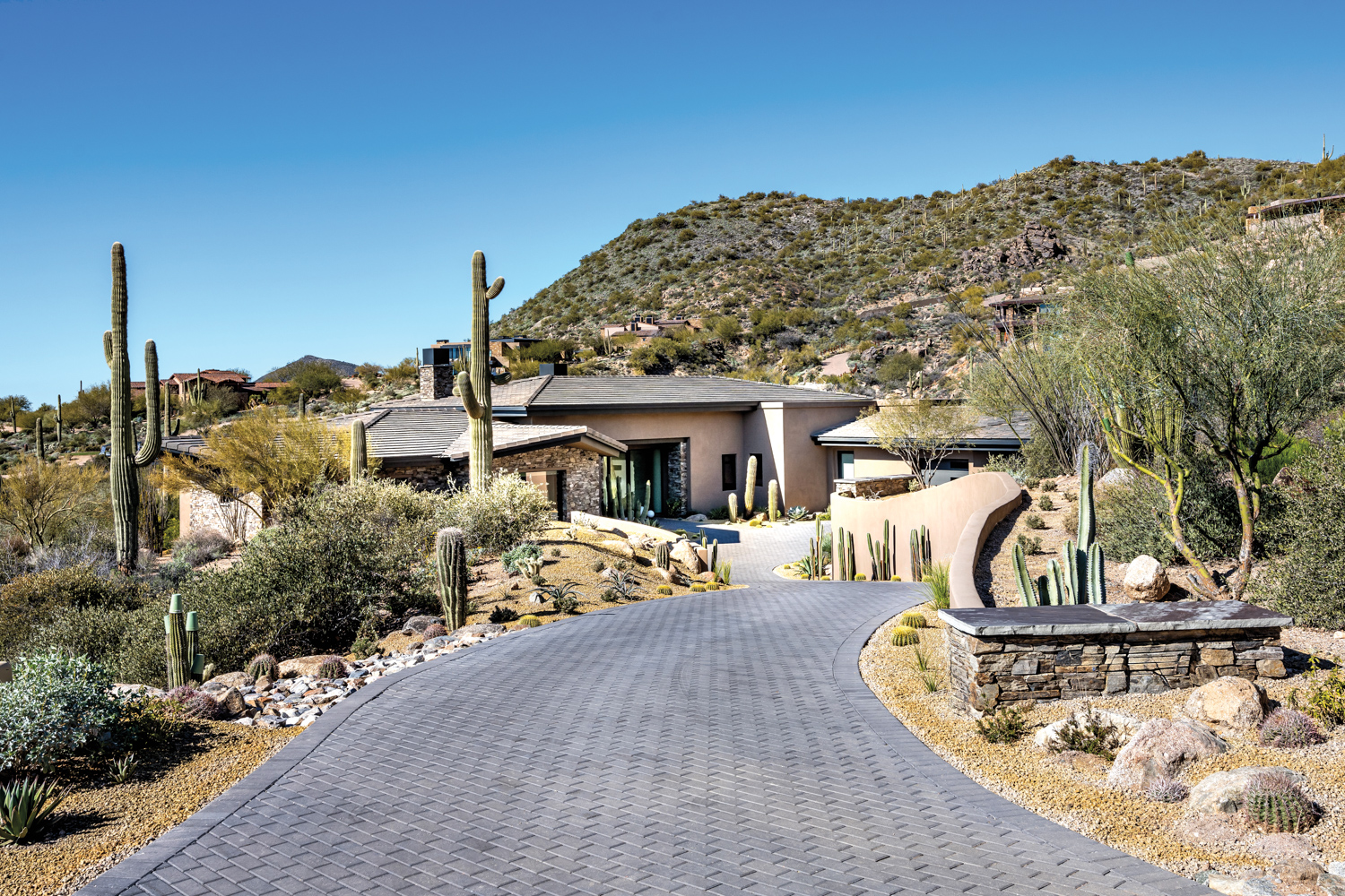 Driveway lined with cacti winds...