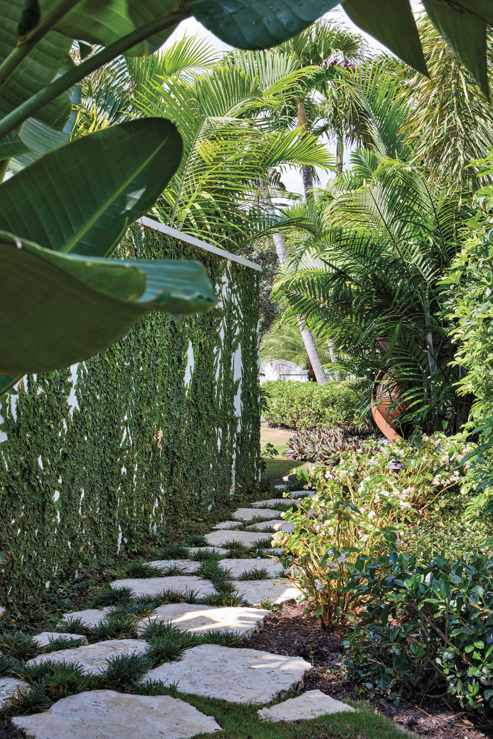 Outdoor pathway surrounded by lush...
