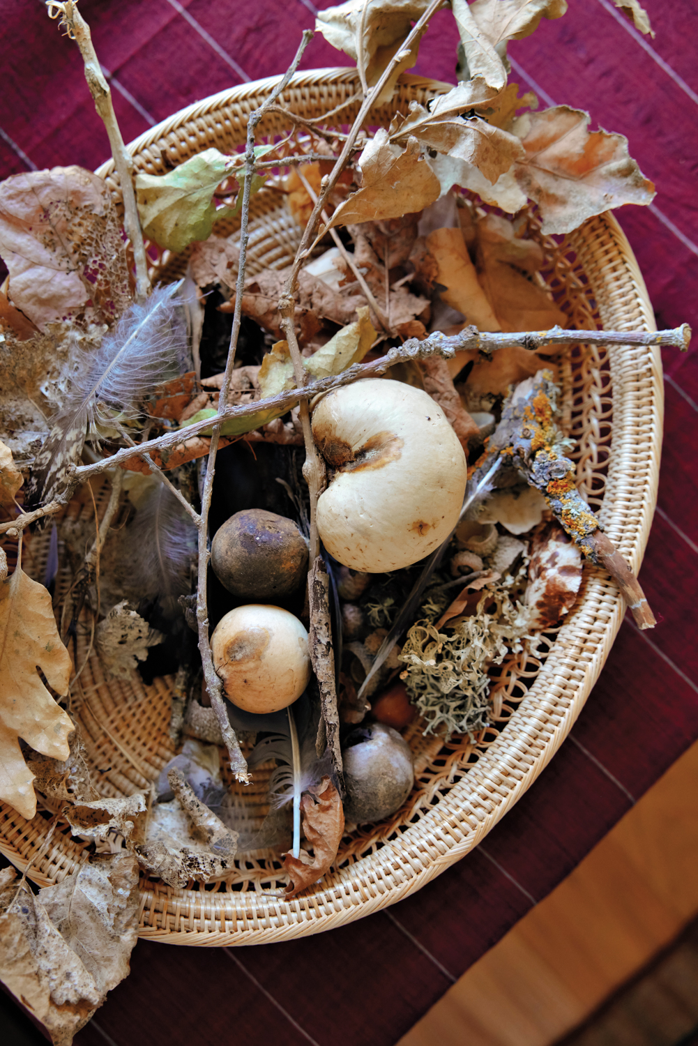 A bowl of small forest elements.