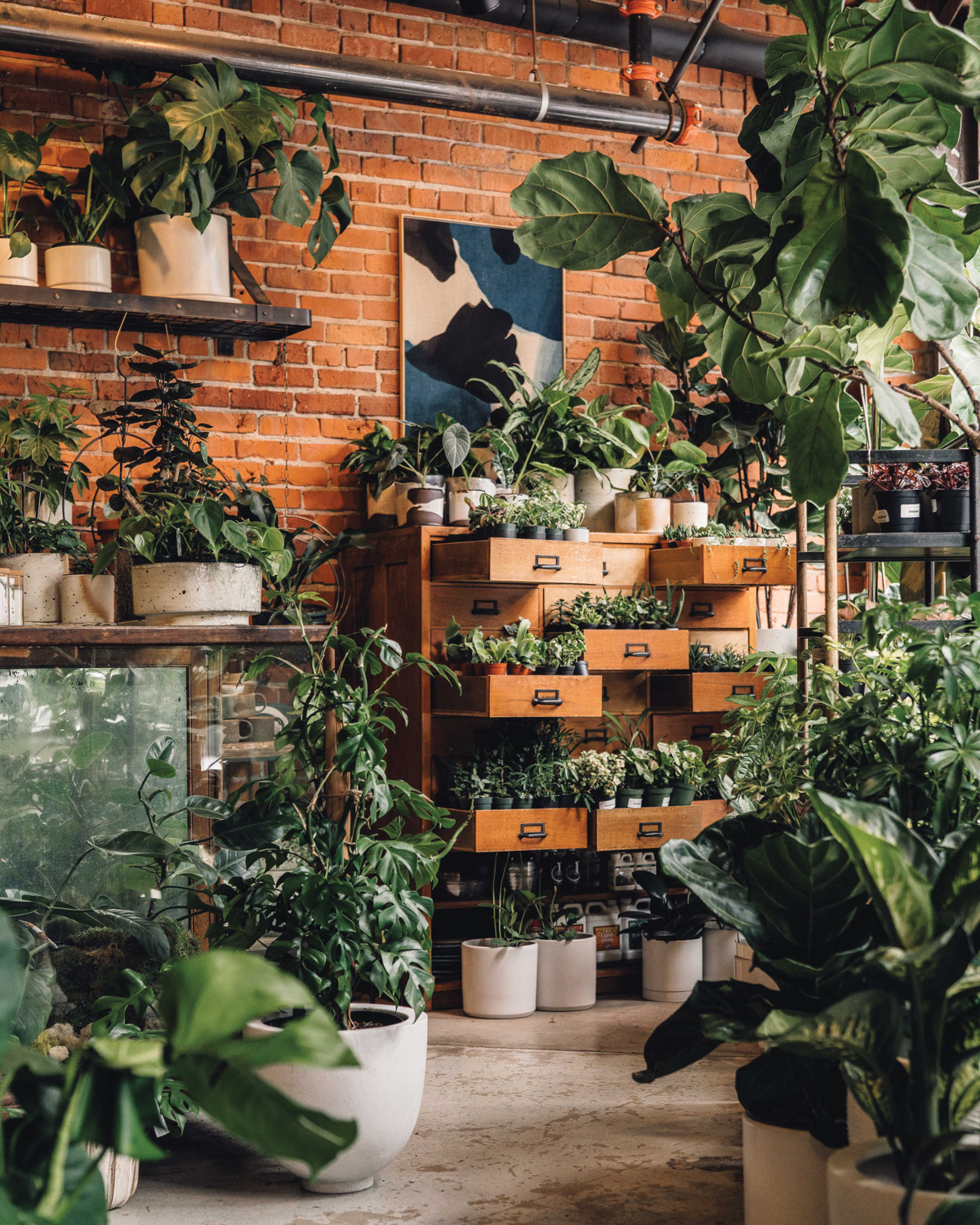 Store filled with plants on the floor and shelves set against brick walls