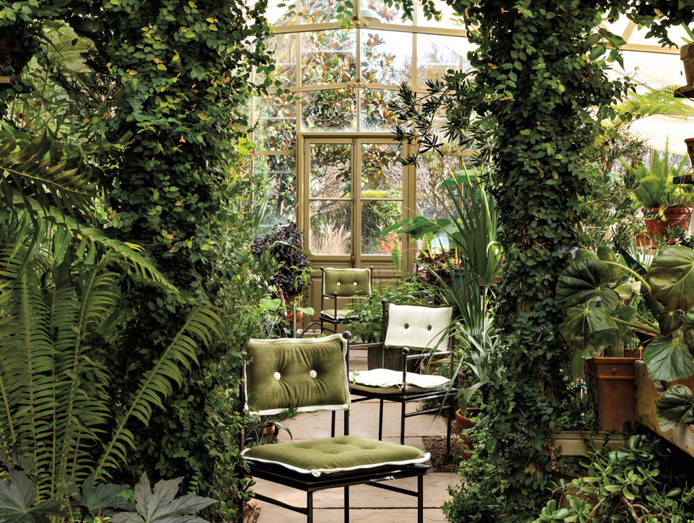 green dining chair among a lush greenhouse