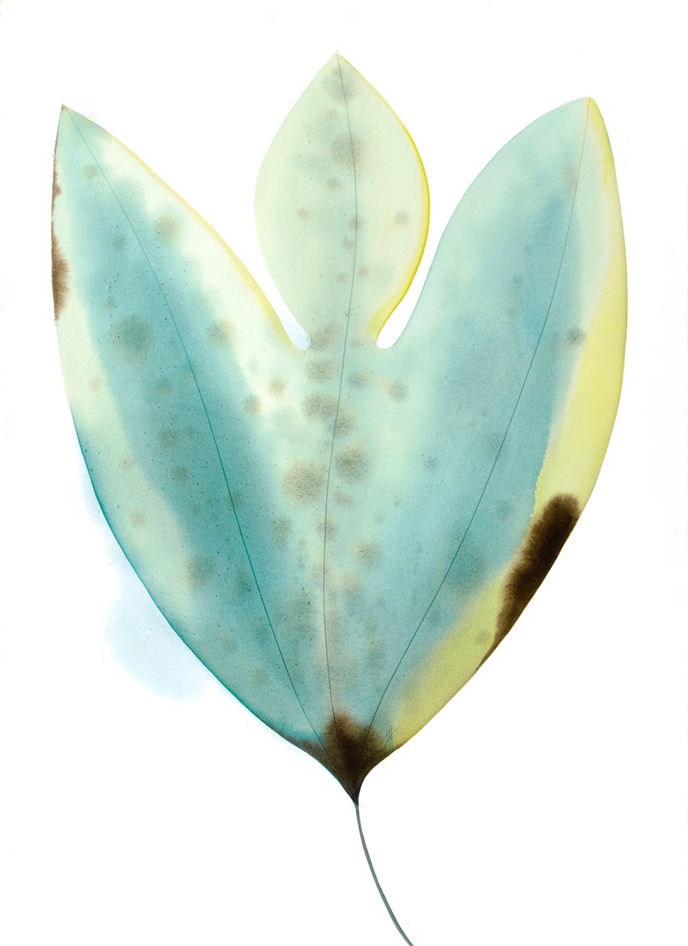 A watercolor painting of a leaf with shades of blue, green, and yellow, showing delicate veins and spots.