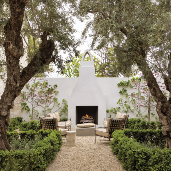 enclosed courtyard area pathway leading between hedges and mature olive trees
