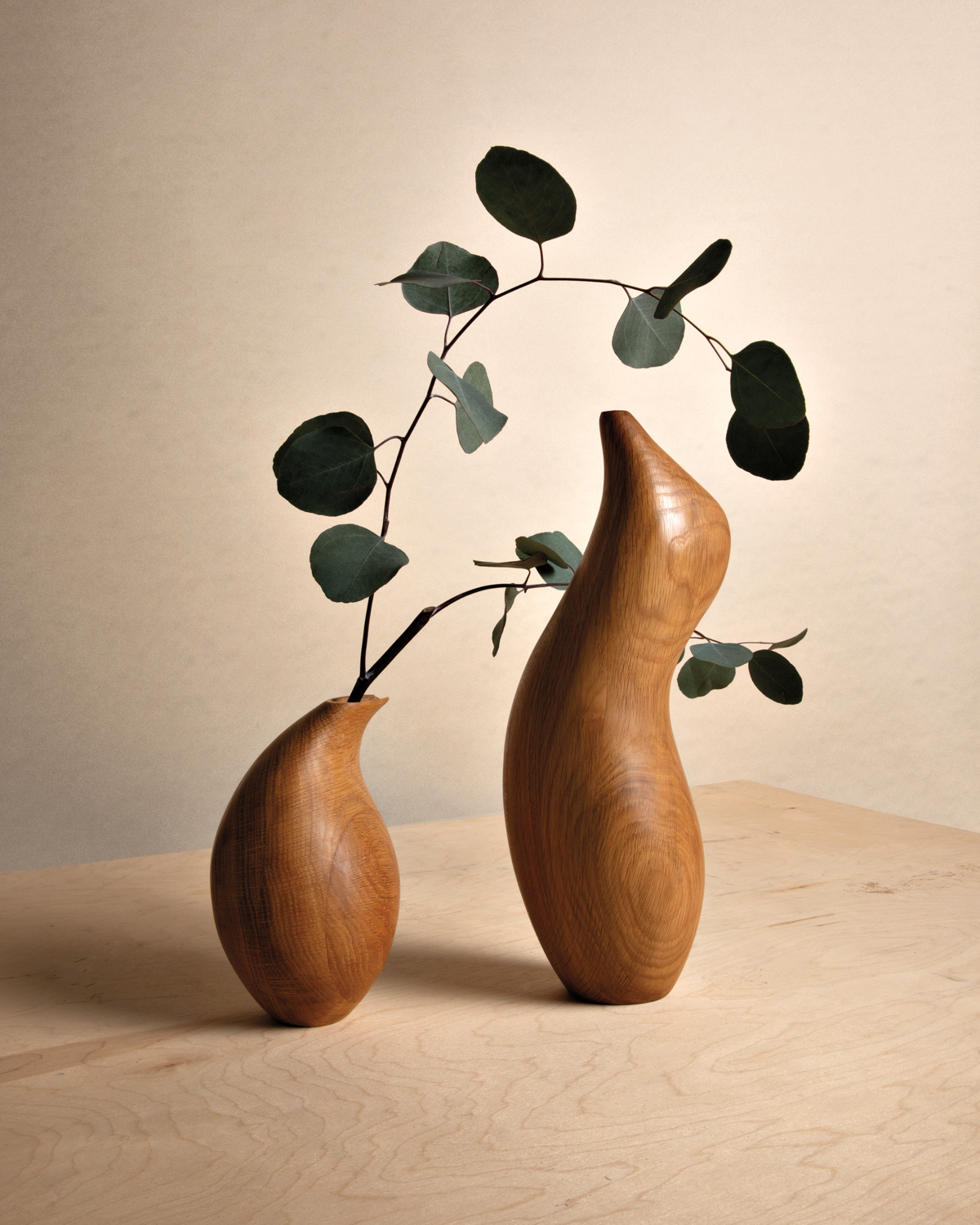 Two curvy wooden vases with plants coming out of them