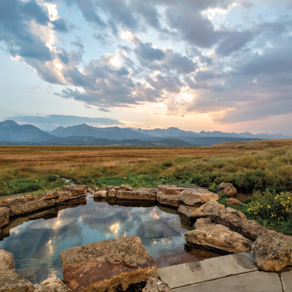 Home Is Where The Garden Is For This Colorado Landscape Architect