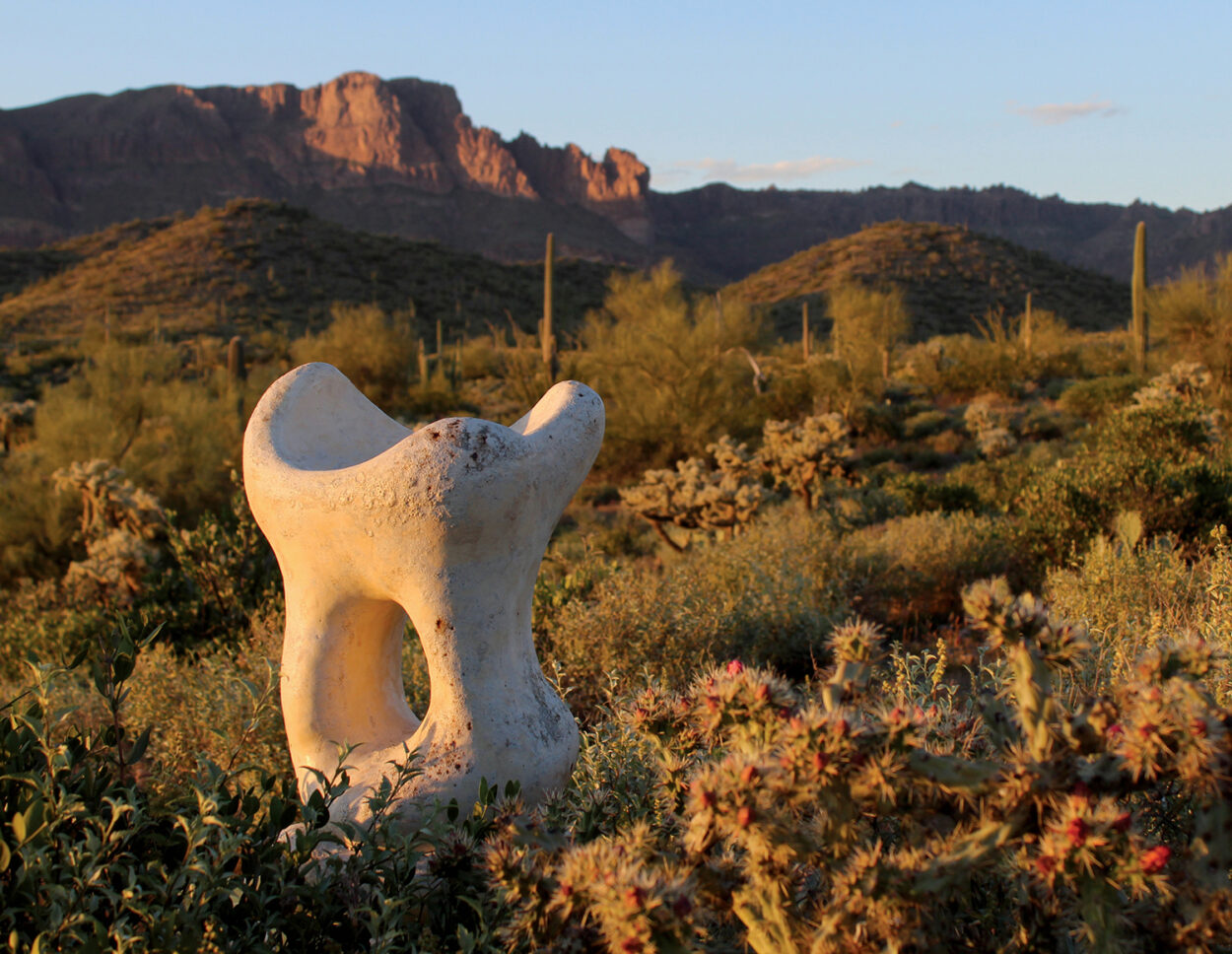 Functionality Meets Transcendent Beauty In This Arizona Artist’s Forms