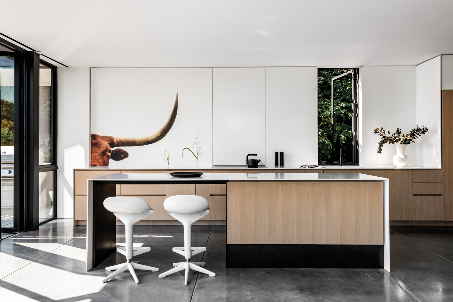 kitchen backplash with oversize Texas longhorn photograph on printed metal