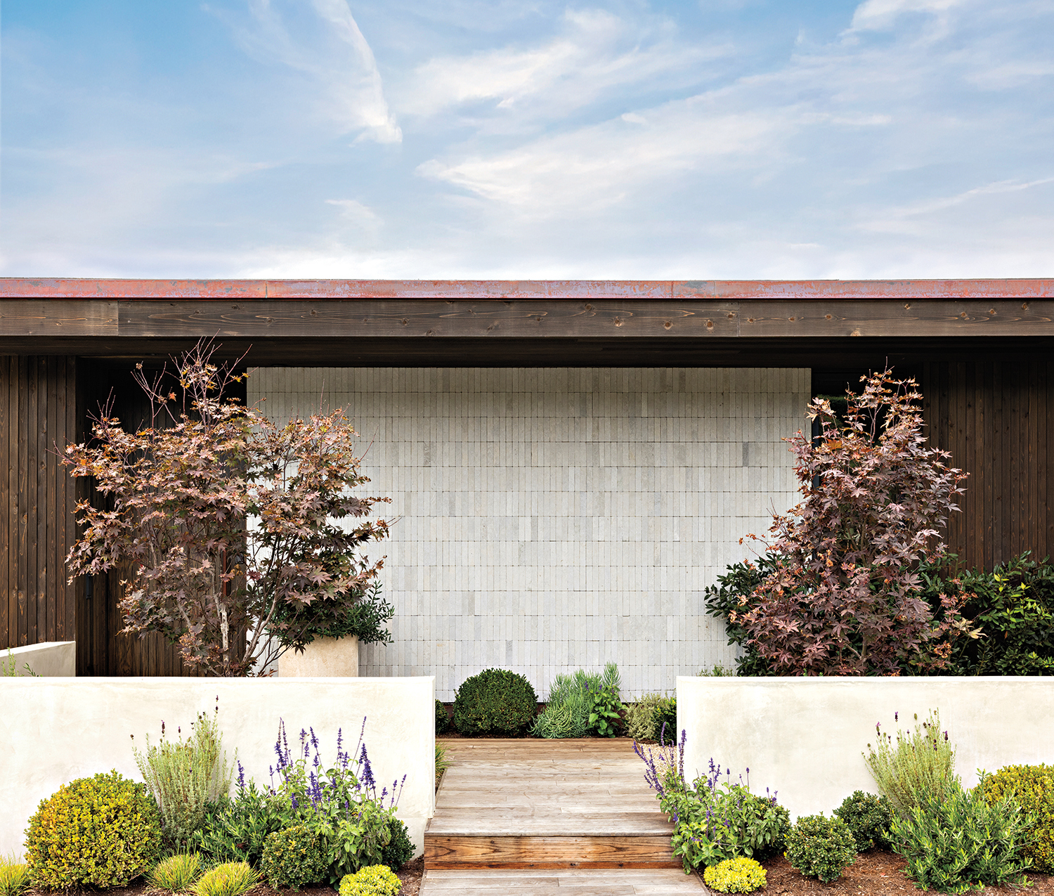 contemporary entryway of a home with an assortment of shrubs and perennials