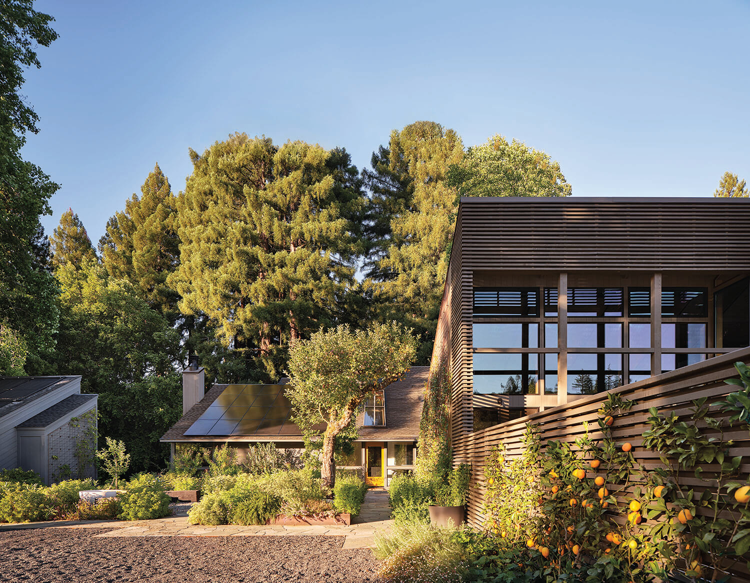 Modern house with large windows and solar panels, surrounded by trees, greenery, and a stone driveway under a clear blue sky.